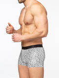photo_1