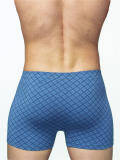 photo_1