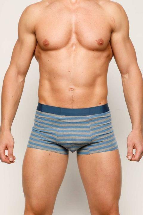 Труси чоловічі SD2903-2 Sergio Dallini SD2903-2